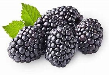 Blackberries